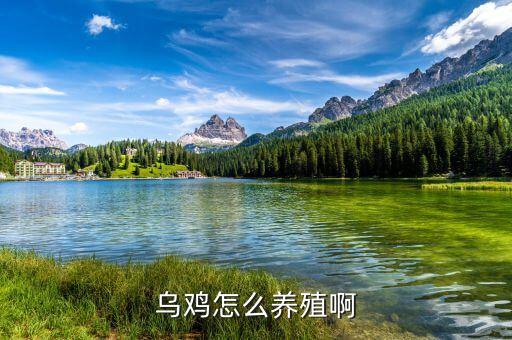 扶溝牧原飼料廠生產(chǎn)什么料，飼料廠 所生產(chǎn)的 產(chǎn)品一般需要哪些原材料