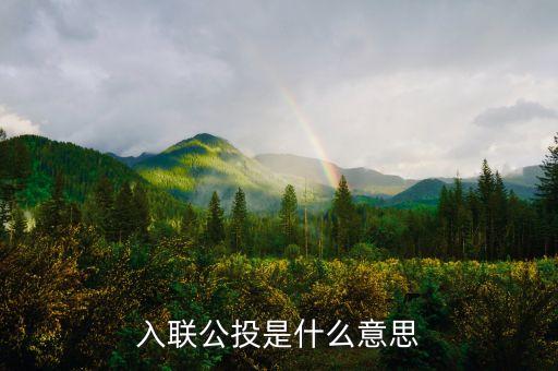 返聯(lián)公投是什么意思是什么意思，公投是什么意思