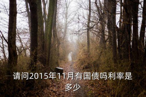 201511月發(fā)行什么國債，請(qǐng)問2015年11月有國債嗎利率是多少