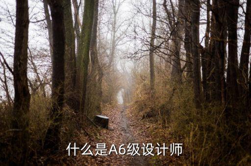 東易日盛a6什么意思，北京東易日盛的A6和速美施工隊(duì)有什么區(qū)別嗎