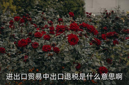押匯退回什么意思，進出口貿(mào)易中出口退稅是什么意思啊