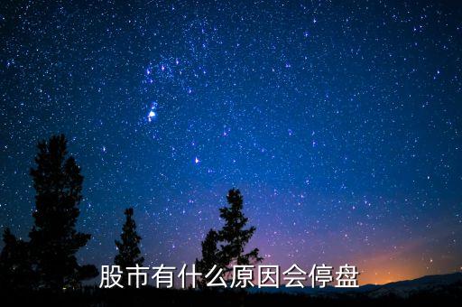 002203為什么停盤，股市有什么原因會停盤