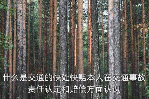 車險快賠是什么，汽車快賠是什么意思