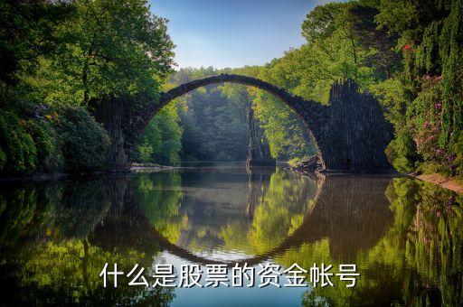 炒股資金賬號什么意思，請問炒股證券資金賬號是什么