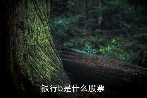 銀行b是什么股票交易，銀行b是什么股票