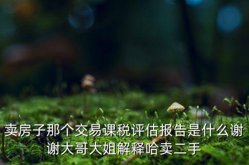 交易課稅是什么意思，名詞解釋證券交易稅