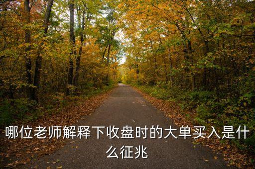 股票收盤時(shí)巨量買入什么信號(hào)，哪位老師解釋下收盤時(shí)的大單買入是什么征兆