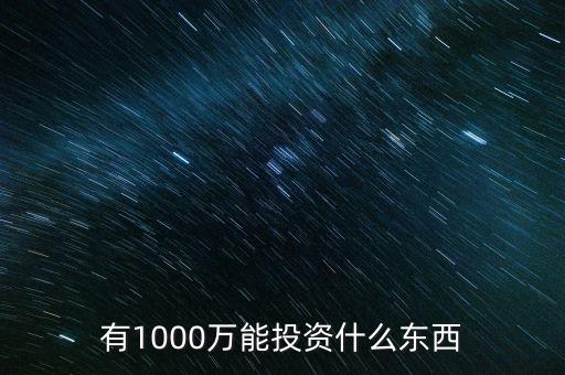 1000萬投資什么好，有1000萬能投資什么東西