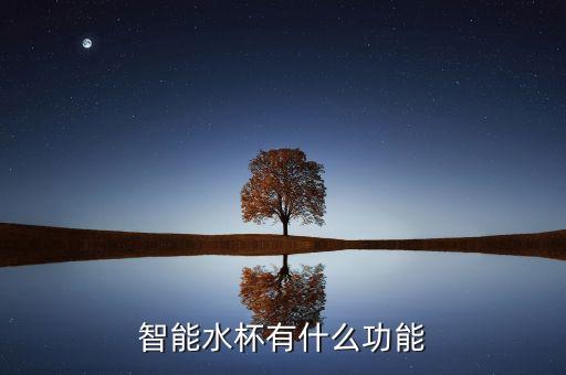 浩澤智能水杯有什么功能，智能水杯有什么功能