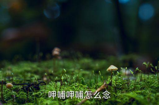 呷哺什么意思，呷哺呷哺怎么念