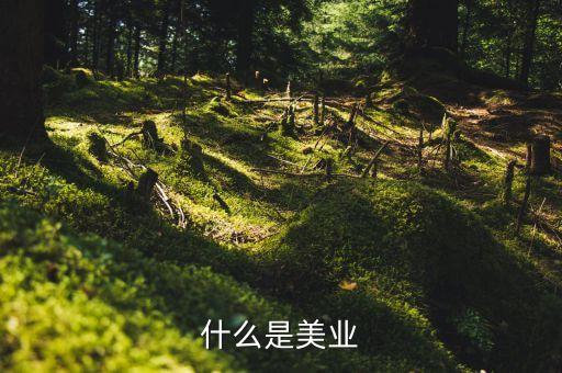 美業(yè)集團(tuán)是什么行業(yè)，什么是美業(yè)