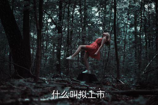 什么叫擬上市，什么是擬上市