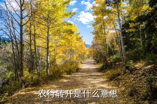 農(nóng)行轉(zhuǎn)開是什么意思，農(nóng)行的轉(zhuǎn)開現(xiàn)開是什么意思