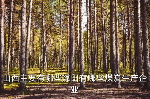 昊鑫礦業(yè)生產(chǎn)什么，晉煤金鼎公司都有哪些煤礦