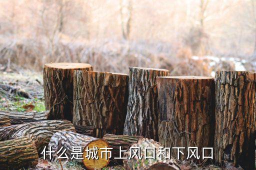 上風口是什么意思，上風口是什么意思