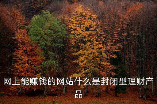 網上能賺錢的網站什么是封閉型理財產品