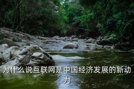 為什么說互聯(lián)網(wǎng)是中國經(jīng)濟(jì)發(fā)展的新動(dòng)力