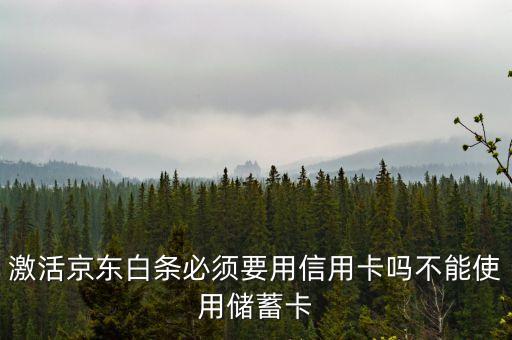 京東白條要什么銀行卡，京東打白條一定要信用卡嗎儲(chǔ)蓄卡不能用嗎