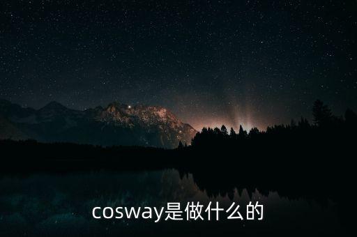 普路通是做什么的，cosway是做什么的