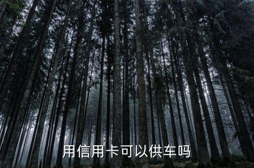 供車用什么信用卡，用信用卡可以供車嗎