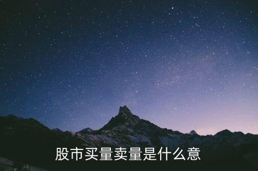 股票買量賣量什么意思，股市買量賣量是什么意