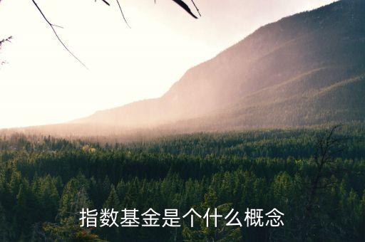 指數(shù)型基金什么意思，指數(shù)基金是個(gè)什么概念
