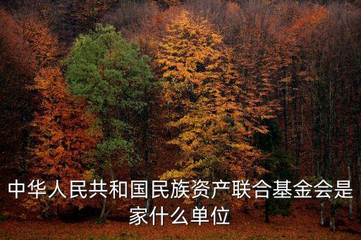 anc基金會(huì)是什么，中華人民共和國(guó)民族資產(chǎn)聯(lián)合基金會(huì)是家什么單位