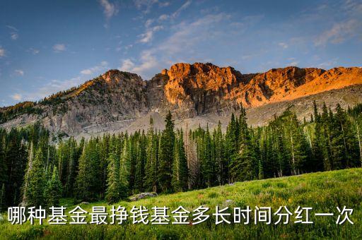 什么樣基金會定期分紅，那些基金會分紅