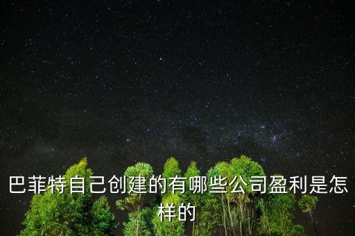 巴菲特是想收購(gòu)中國(guó)的什么公司，巴菲特自己創(chuàng)建的有哪些公司盈利是怎樣的