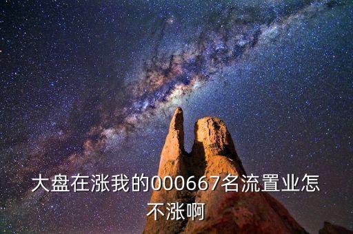 000667基金為什么不漲，大盤在漲我的000667名流置業(yè)怎不漲啊