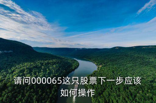 000065是什么重大事件，請(qǐng)問(wèn)000065這只股票下一步應(yīng)該如何操作