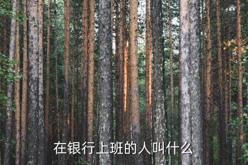 金融上班叫什么，在銀行上班的人叫什么