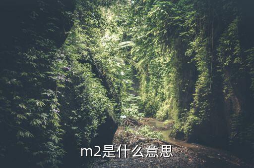 中國(guó)m2是什么，m2是什么意思