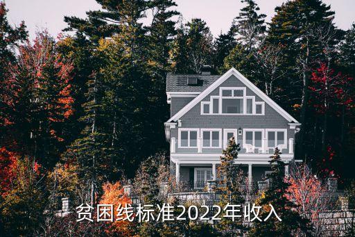  貧困線(xiàn)標(biāo)準(zhǔn)2022年收入