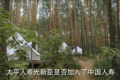 中國太平保險(xiǎn)股票,中國十大保險(xiǎn)公司排名