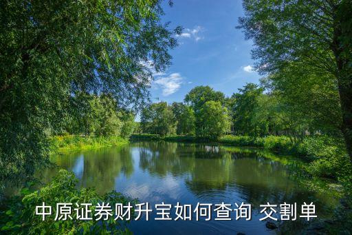 中原證券財(cái)升寶如何查詢(xún) 交割單