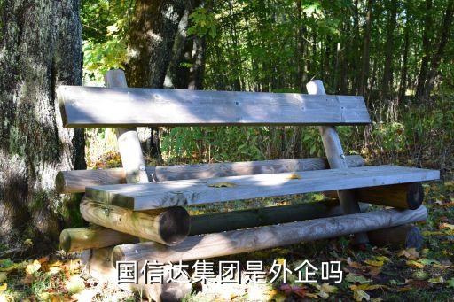 國信嘉寧數(shù)據(jù)技術有限公司,國信優(yōu)易數(shù)據(jù)有限公司上市了嗎