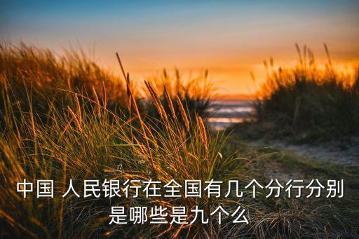 中國 人民銀行在全國有幾個(gè)分行分別是哪些是九個(gè)么