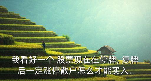 我看好一個 股票現(xiàn)在在停牌, 復牌后一定漲停散戶怎么才能買入、