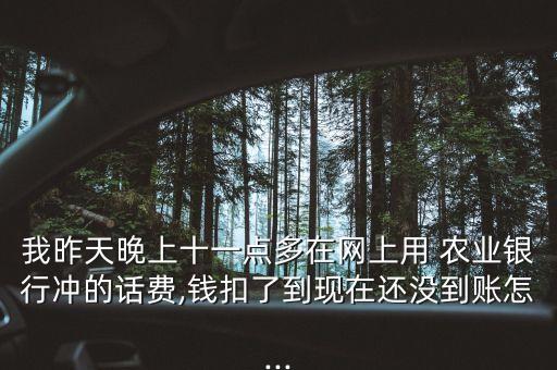 我昨天晚上十一點多在網上用 農業(yè)銀行沖的話費,錢扣了到現在還沒到賬怎...