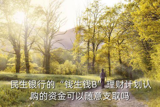  民生銀行的“錢(qián)生錢(qián)B”理財(cái)計(jì)劃認(rèn)購(gòu)的資金可以隨意支取嗎