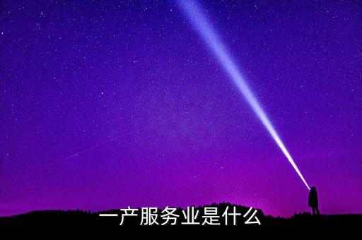 一產服務業(yè)是什么