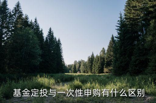  基金定投與一次性申購(gòu)有什么區(qū)別