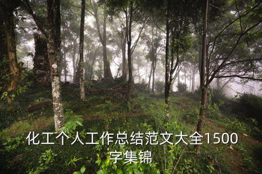  化工個人工作總結范文大全1500字集錦