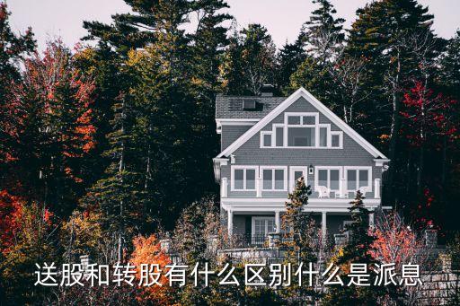 送股和轉股有什么區(qū)別什么是派息