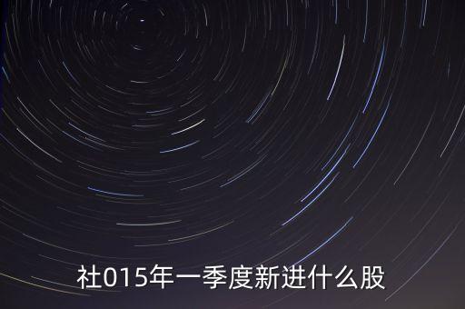社?；鹨涣惆私M合,全國社保基金組合