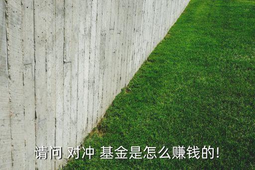請(qǐng)問 對(duì)沖 基金是怎么賺錢的!