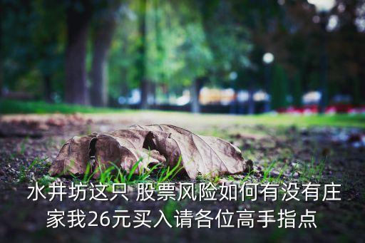  水井坊這只 股票風(fēng)險(xiǎn)如何有沒有莊家我26元買入請各位高手指點(diǎn)