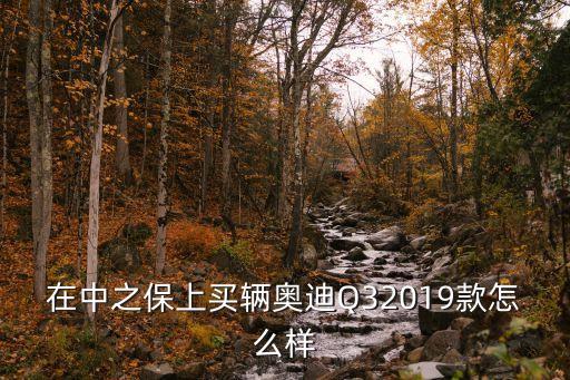 在中之保上買(mǎi)輛奧迪Q32019款怎么樣