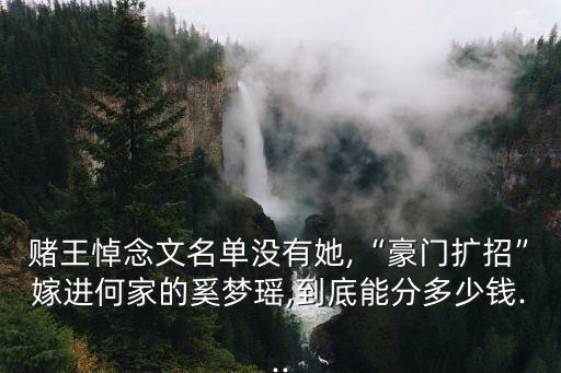 賭王悼念文名單沒(méi)有她,“豪門(mén)擴(kuò)招”嫁進(jìn)何家的奚夢(mèng)瑤,到底能分多少錢(qián)...